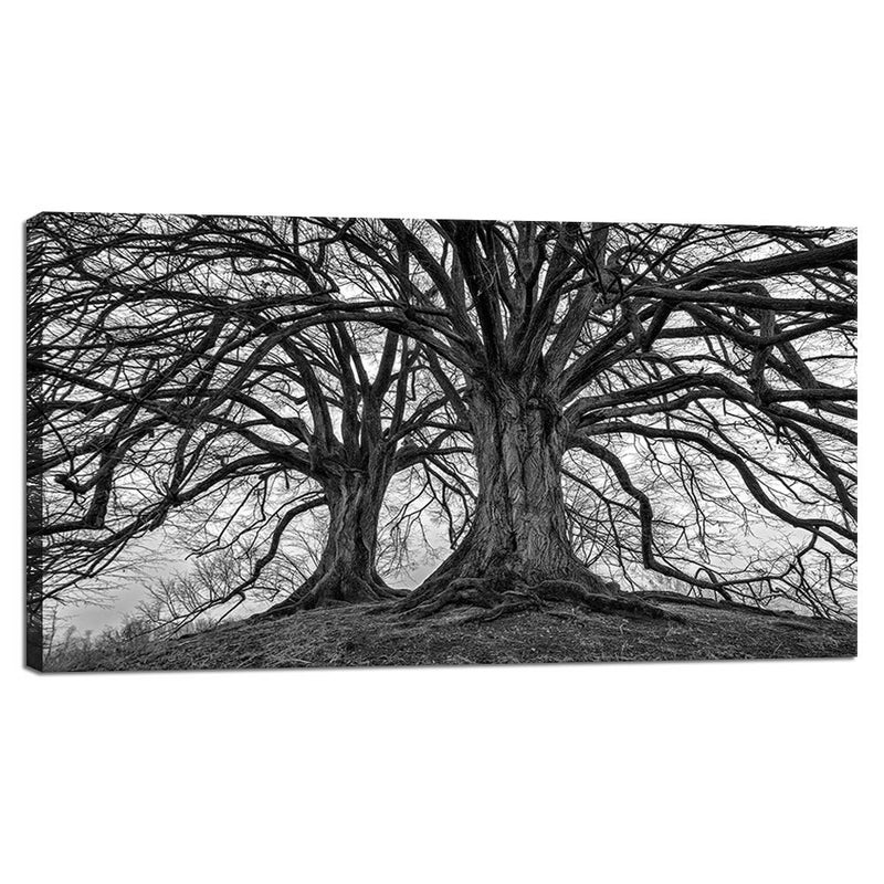 Visual Art Decor Large Black and White Trees Canvas Wall Art Winter Oak Trees Branches Picture Nature Scenery Giclee Prints Framed and Stretched Premium Artwork for Home Living Room Bedroom - Image 1